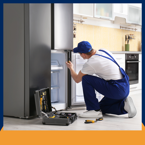 Affordable Fridge Repair Expert